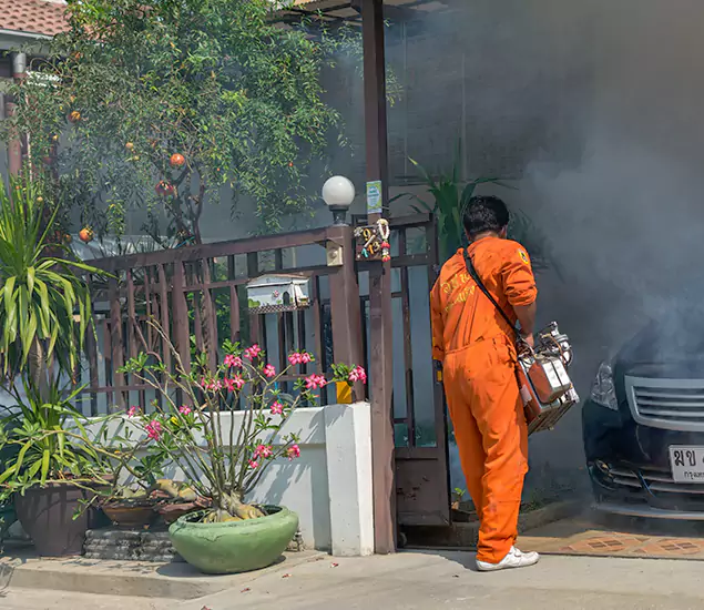 Your Proven Mosquito Fogging Company in Fairfax, VA