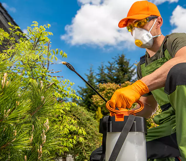 Your Best Bug Spray for Home Team in Fairfax, VA