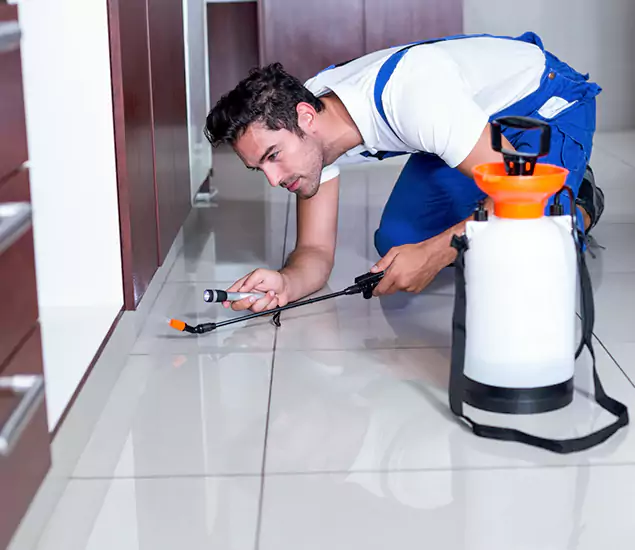Reliable Professional Mouse Removal: Your Best Mouse Control Company in Fairfax, VA