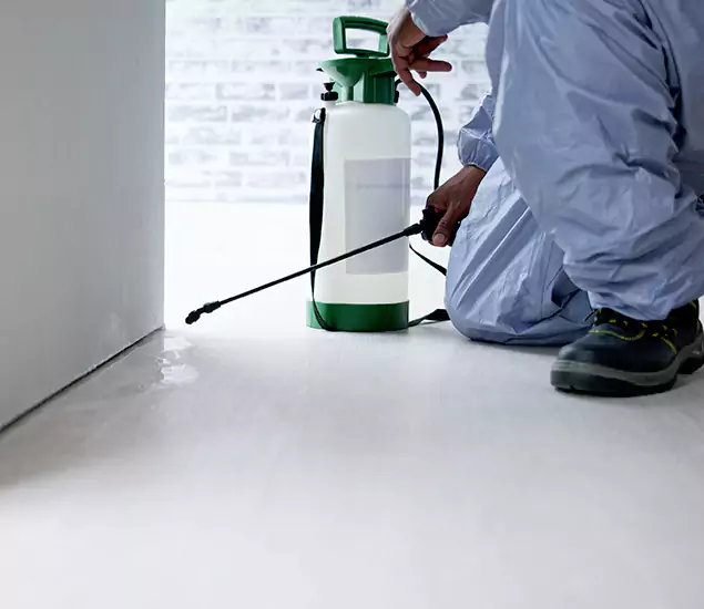 Affordable Pest Control Experts in Fairfax, VA