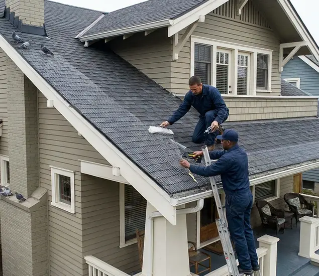 Your Pigeon Control Experts in Fairfax, VA