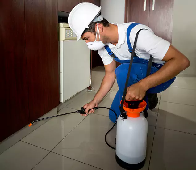 Advanced Termite Pre Treatment Experts in Fairfax, VA