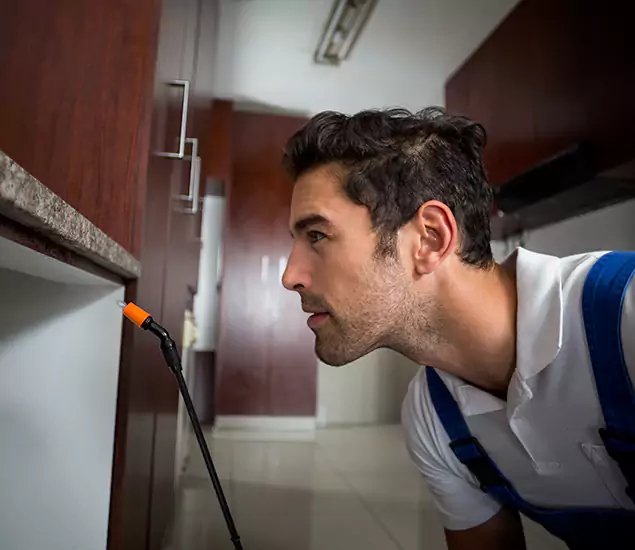 Expert Rodent in Attic Removal: Your Proven Pest Specialists in Fairfax, VA