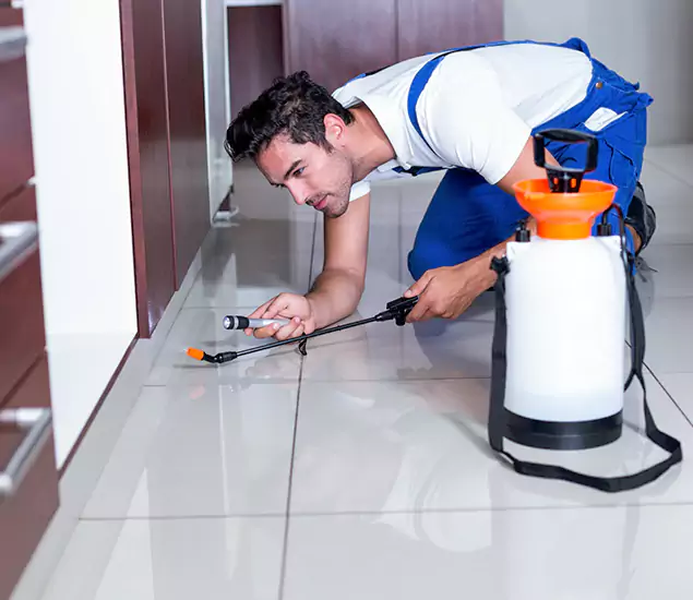 Advanced Slab Termite Treatment Experts You Can Trust&nbsp;in Fairfax, VA