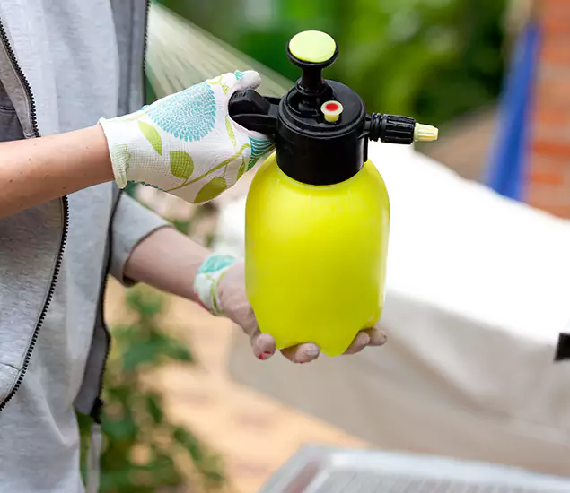 Skilled Residential Small Black Ant Service in Fairfax, VA