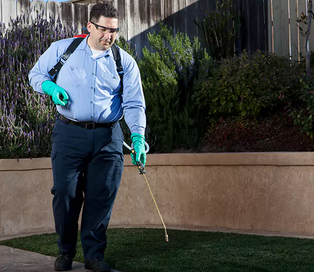 Reliable Termite Barrier Treatment Experts in Fairfax, VA