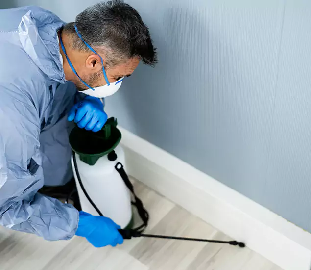 Reliable Termite Cost Experts in Fairfax, VA