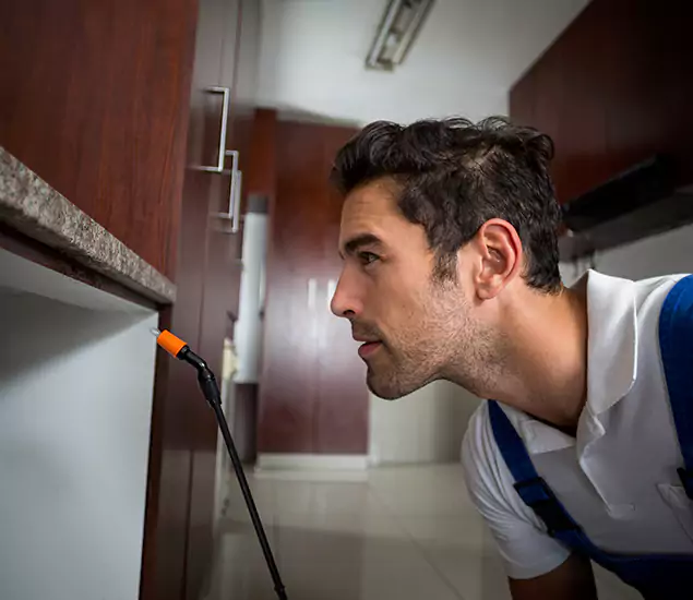 Termite Inspection Cost Experts You Can Trust in Fairfax, VA