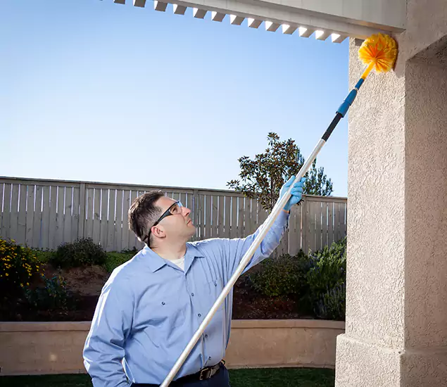 Your Trusted Wasp Removal Company in Fairfax, VA