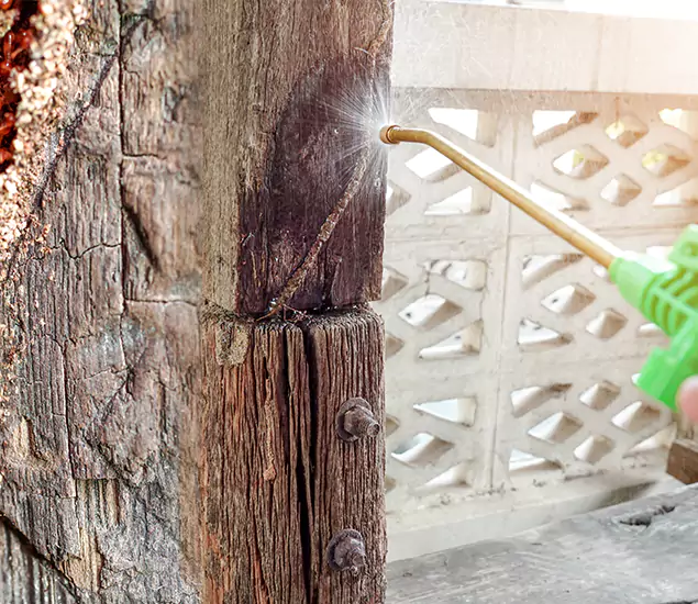 About Wood Termite Treatment Services in Fairfax, VA