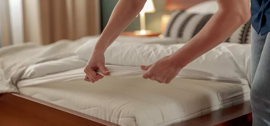 Bed Bug Extermination Services in Fairfax