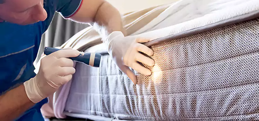Residential Bed Bug Treatment Cost in Fairfax