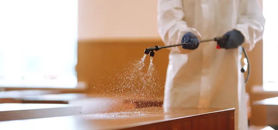 Residential Bed Bug Treatment Option in Fairfax