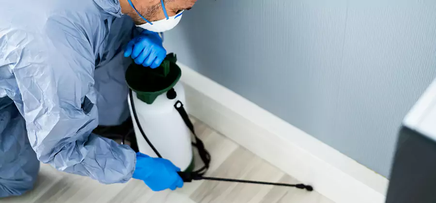 Fumigate Apartment Roaches in Fairfax