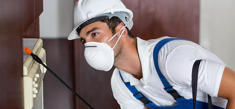 Injection Foam Treatment for Drywood Termites in Fairfax