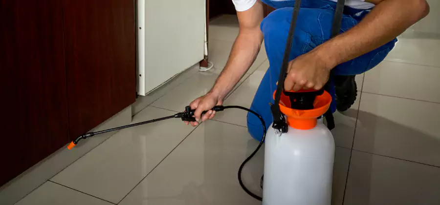 Indoor Mosquito Treatment in Fairfax