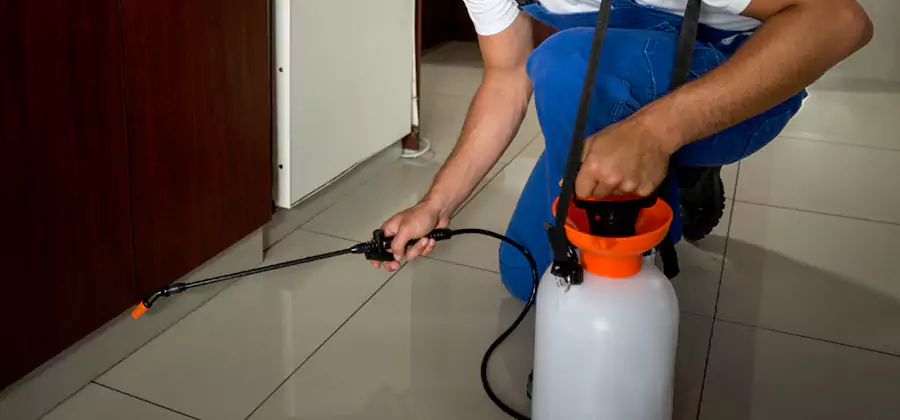 Indoor Insect Killer Solutions in Fairfax