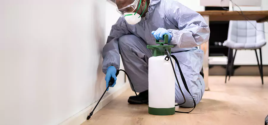Long Lasting Mosquito Treatment in Fairfax