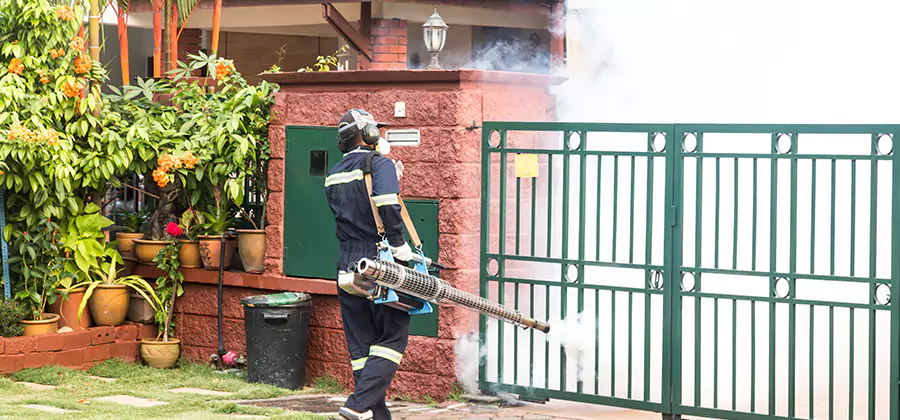 Backyard Mosquito Foggers Service in Fairfax