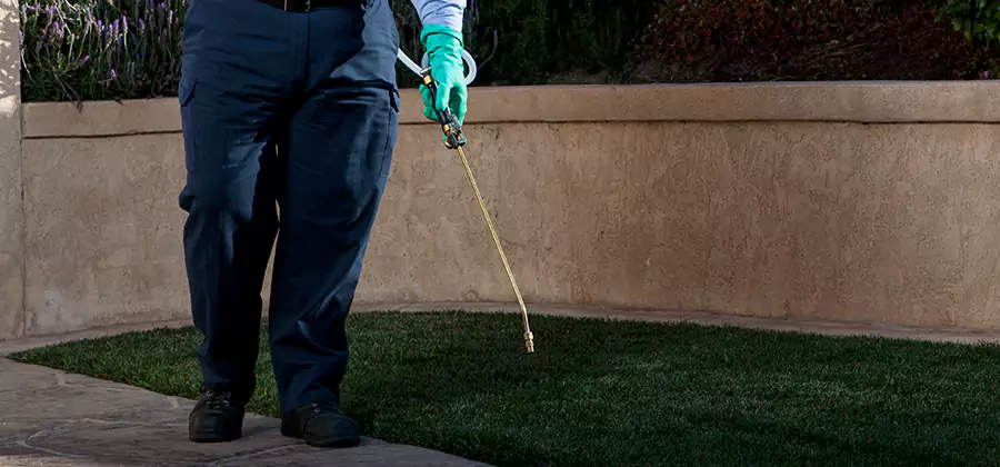 Soil Treatment for New Construction Termites in Fairfax