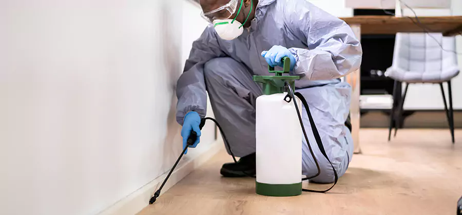 No Tent Termite Extermination With Electric Tool in Fairfax