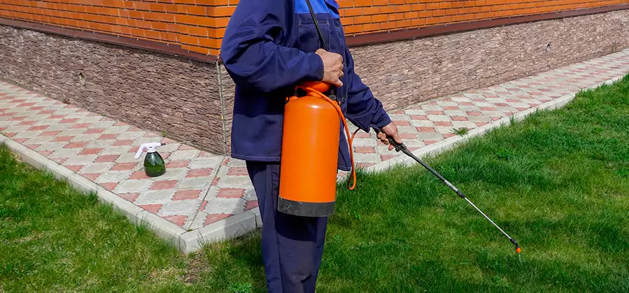 Non Toxic Termite Treatment in Fairfax