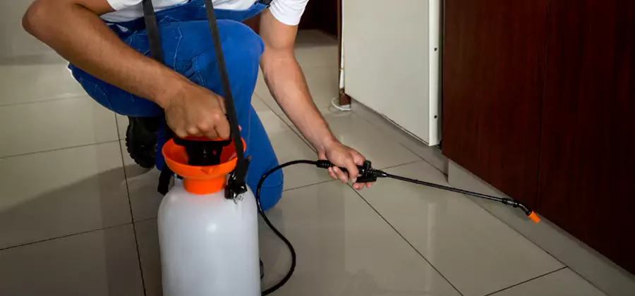 One Time Termite Control in Fairfax