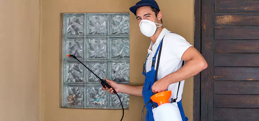 Physical Termite Barrier Installation in Fairfax