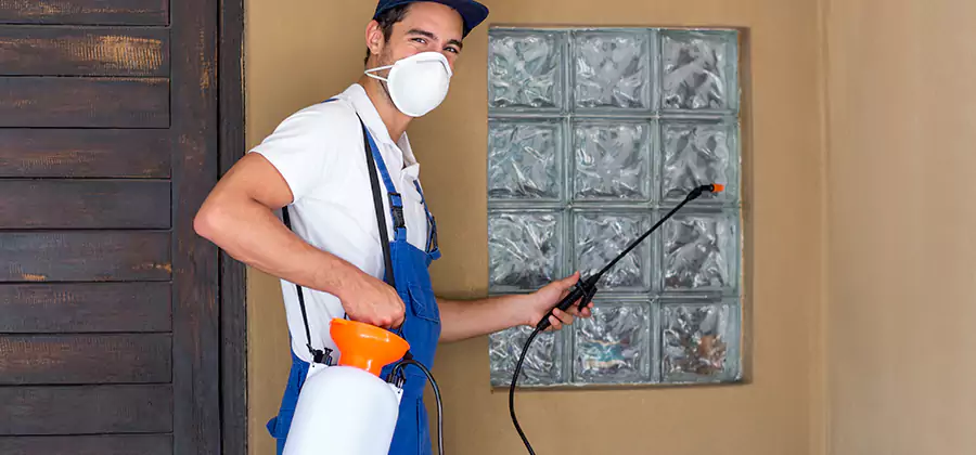 Pre-Construction Termite Treatment in Fairfax