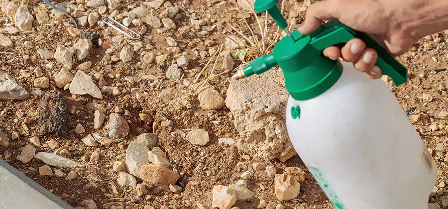 Heat Treatment Termite Cost in Fairfax