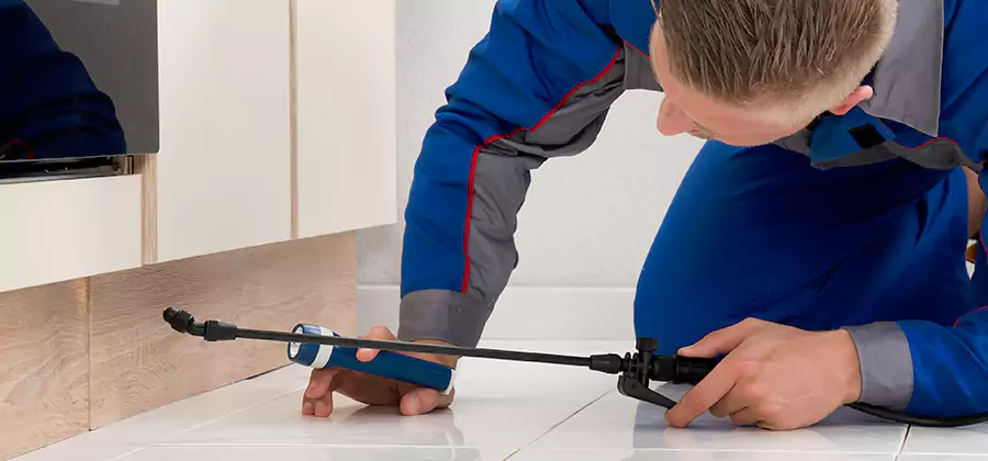Moisture Treatment For Termite Control Service in Fairfax