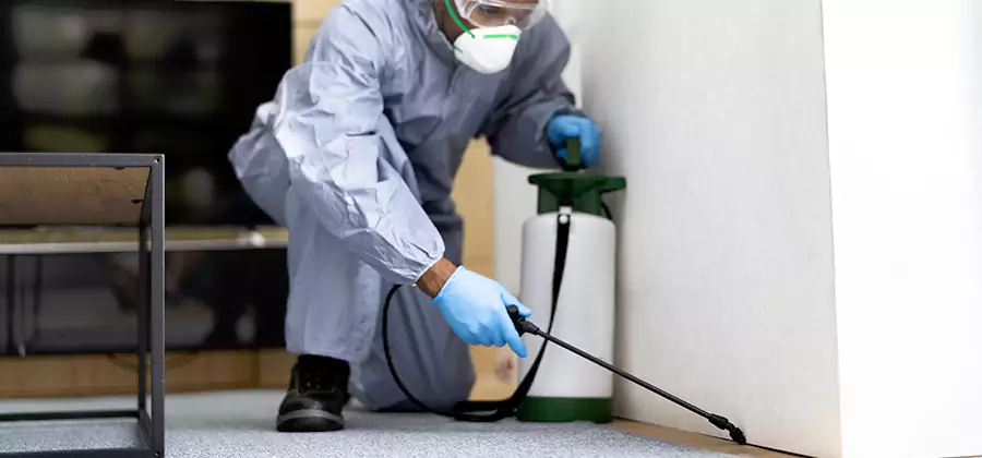 Wood Protection Termite Treatment in Fairfax