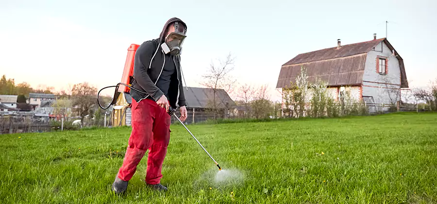 Flea and Tick Pest Control in Fairfax