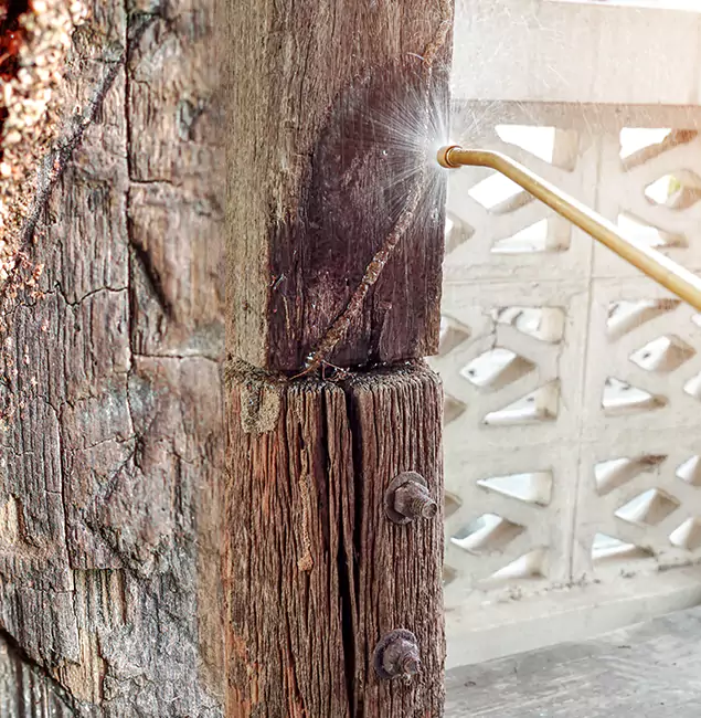 Why Choose Fairfax Pest Control Pros for Attic Termite Treatment in Fairfax, VA?