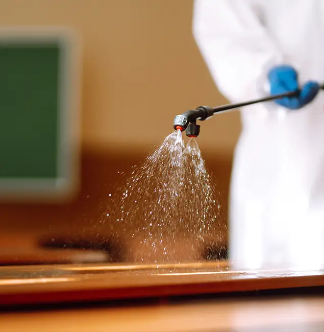 Why Choose Fairfax Pest Control Pros for Bed Bug Chemical Treatment in Fairfax, VA?