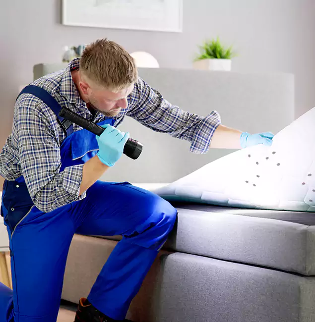 Why Choose Fairfax Pest Control Pros for Bed Bug Exterminator Cost in Fairfax, VA?