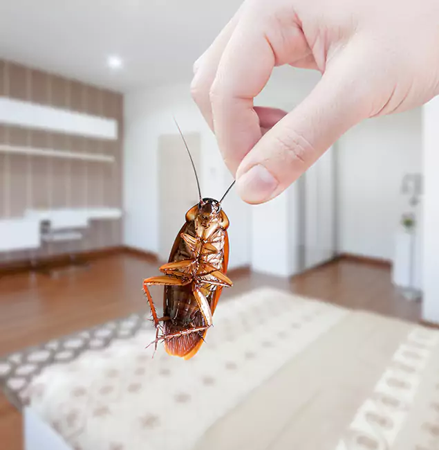 Why Fairfax Pest Control Pros Stand Out for Bed Bug Fumigation in Fairfax, VA?