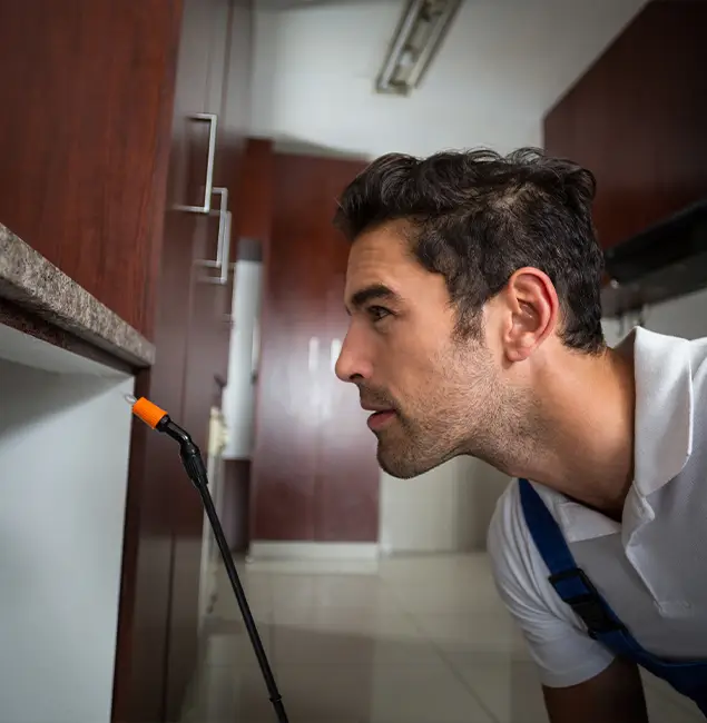 Why Choose Fairfax Pest Control Pros for Bed Bug Removal Cost in Fairfax, VA?