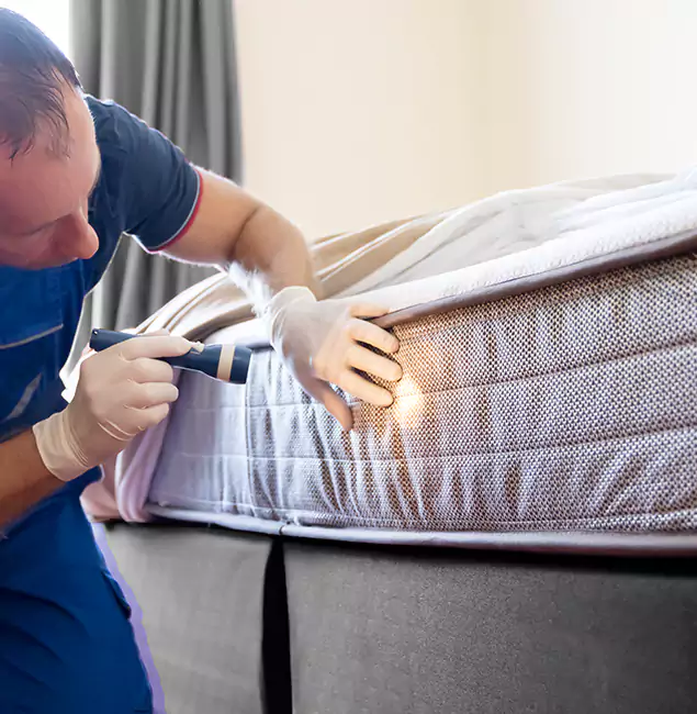 Why Choose Fairfax Pest Control Pros for Bed Bug Services in Fairfax, VA?