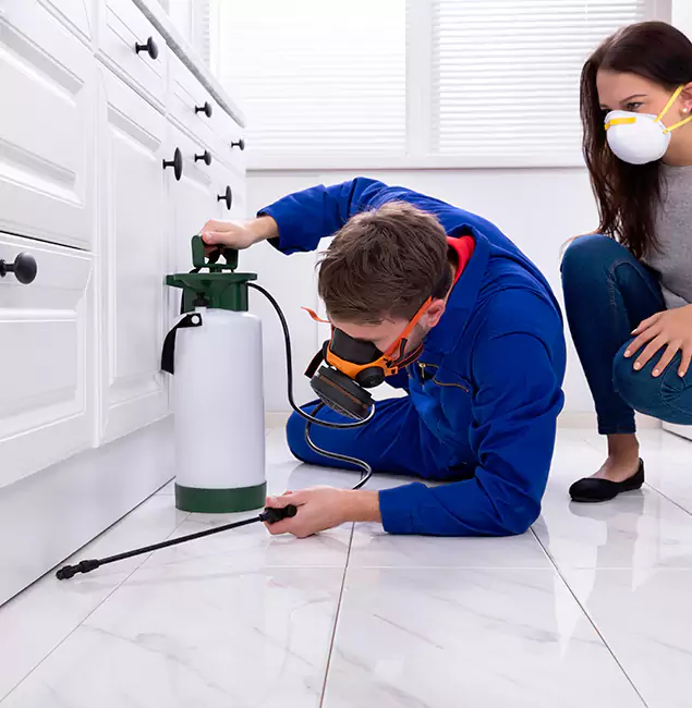 Why Choose Fairfax Pest Control Pros in Fairfax, VA?