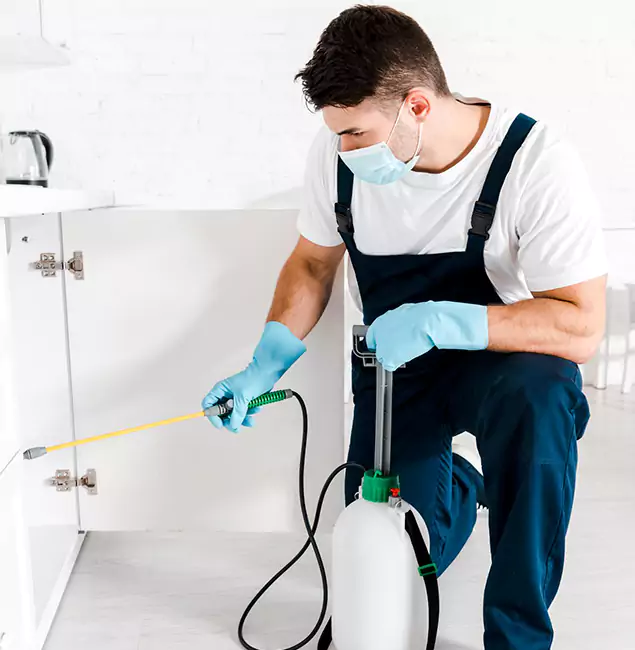 Why Choose Fairfax Pest Control Pros for Emergency Pest Control in Fairfax?