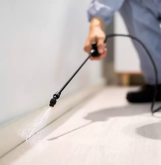 Why Choose Fairfax Pest Control Pros for Termite Treatment in Fairfax, VA?