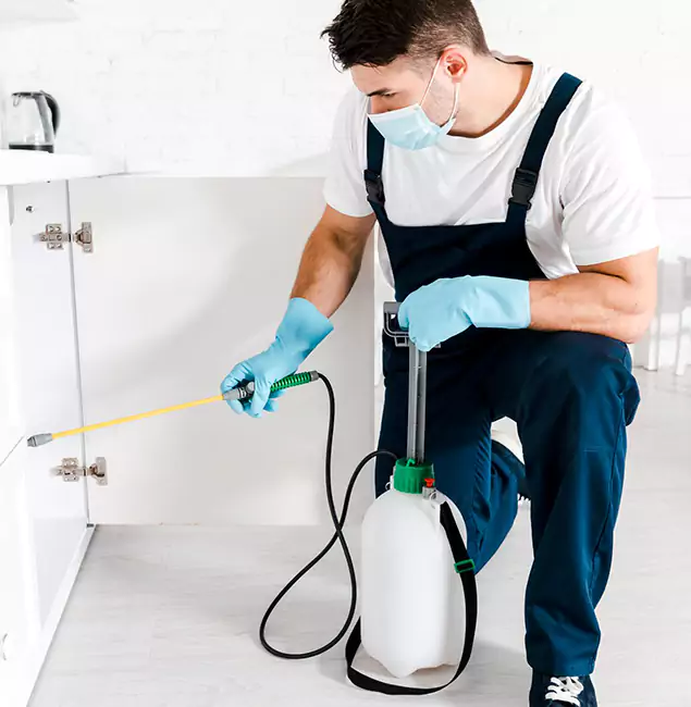 Why Fairfax, VA Homeowners Trust Us for German Roach Control?