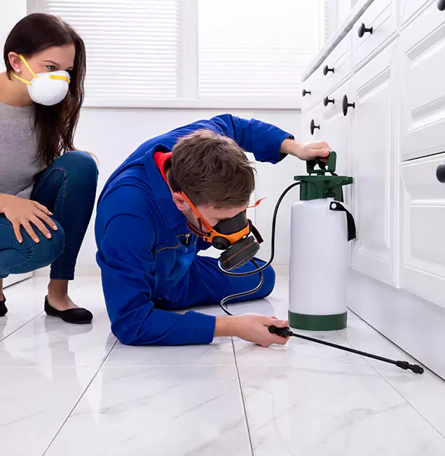 Why Fairfax, VA Homeowners Trust Fairfax Pest Control Pros for Roach Control?