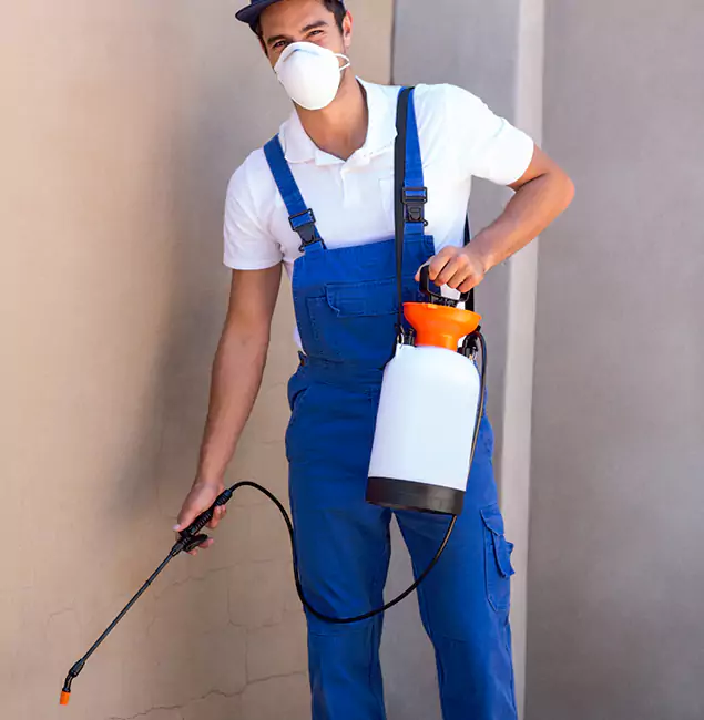 What Makes Fairfax Pest Control Pros the Right Choice in Fairfax, VA?