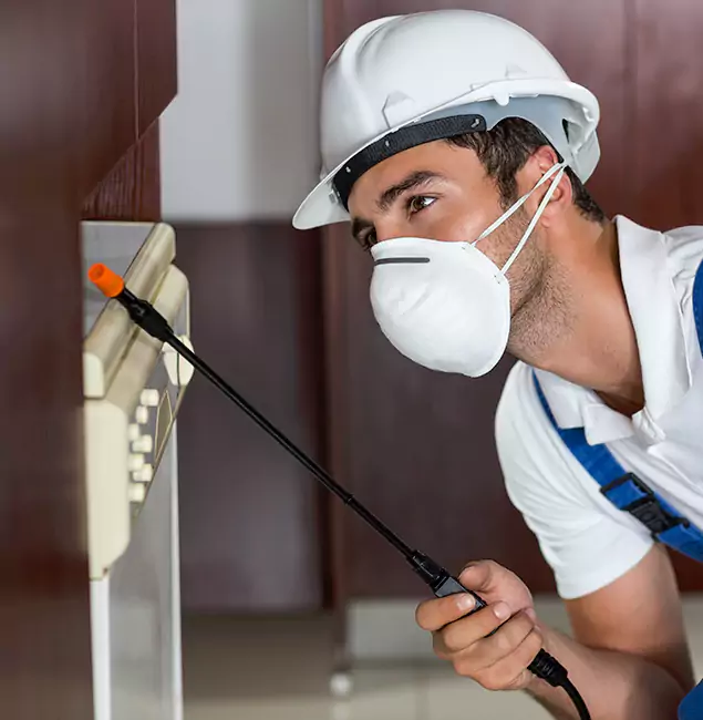 Why Fairfax Homeowners Rely on Fairfax Pest Control Pros for Tick Treatment?