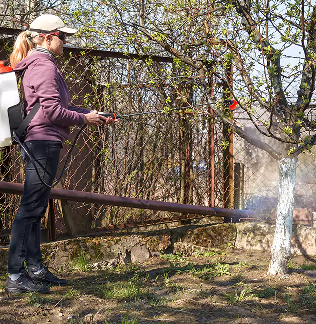 Why Fairfax Homeowners Choose Fairfax Pest Control Pros for Mosquito Abatement?