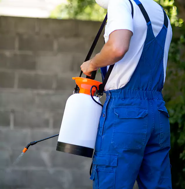 Why Fairfax Homeowners Rely on Fairfax Pest Control Pros for Mosquito Control?