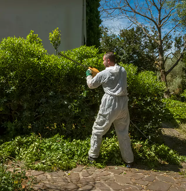 Why Fairfax Pest Control Pros Leads Mosquito Control in Fairfax, VA?