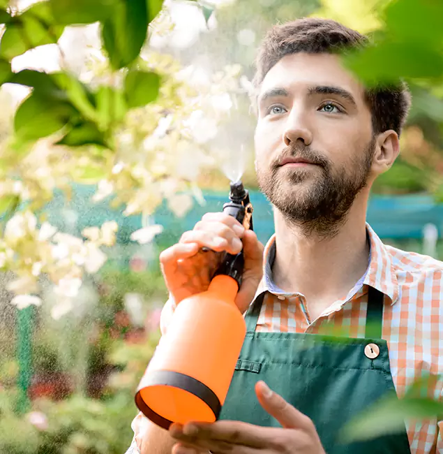 Why Fairfax Pest Control Pros Is the Best Mosquito Control Company in Fairfax, VA?
